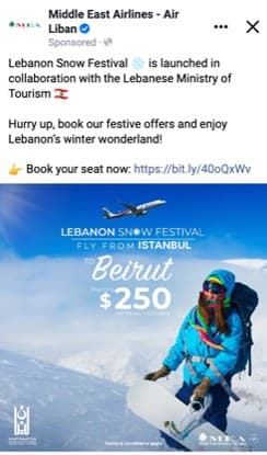 MEA Snow Festival Campaign